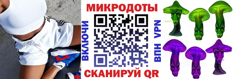 наркота  Суздаль  Псилоцибиновые грибы Psilocybine cubensis 
